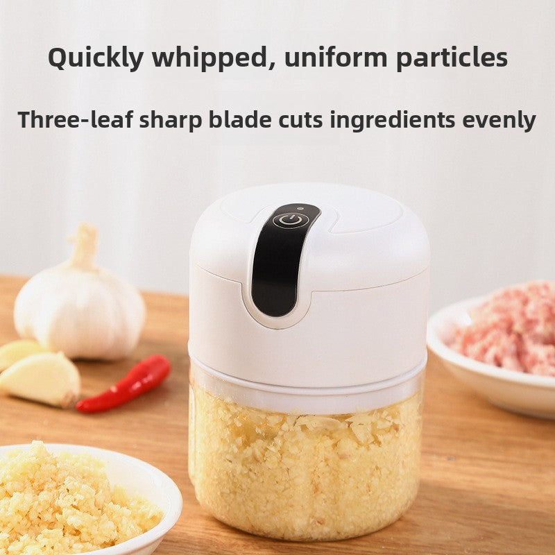 Food processor blade and chopping bowl detail