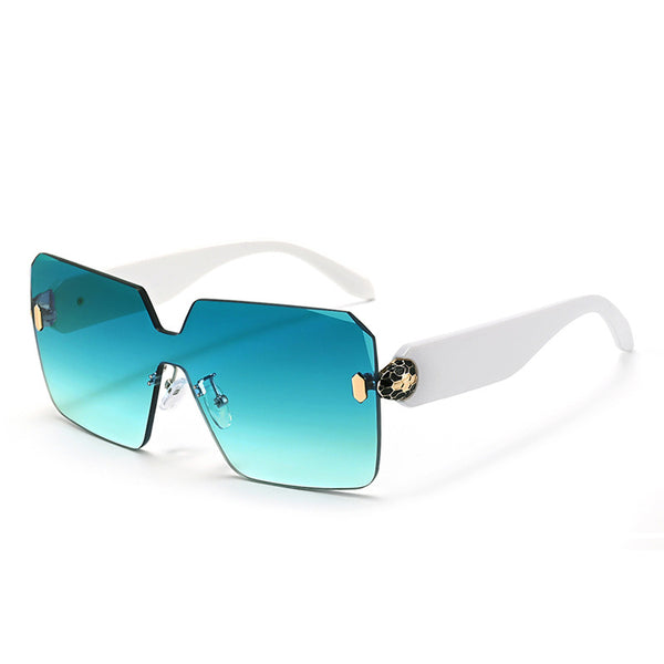Sunglasses temple arm detail