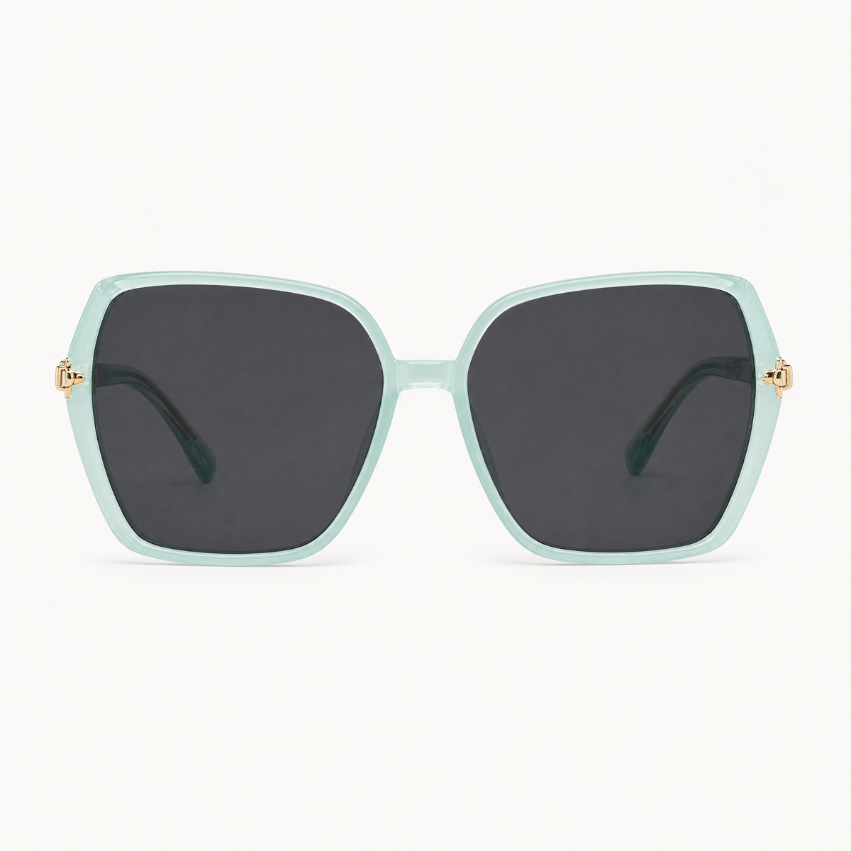 Polygon Square Sunglasses – TR90 Frame, shown in a clear product image