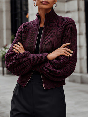 European And American Style Stand-up Collar Zippered Knit Sweater For Women, High-end, Loose-fitting, Slimming, Versatile For Commuting, Knitted Cardigan Top additional product view